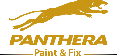 Panthera Paint & Fix